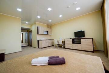 Фото номера Семейный двухместный номер с 1 кроватью Отель Elite Hotel г. Бельцы 6